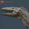 quadrato_artstation-copia.jpg Silesaurus opolensis