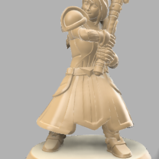 Figurine jds Mini Rogue Cleric / Cleric / Priest