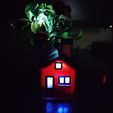 IMG_20231029_222816.jpg Miniature House with Lighting