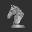 2.jpg horse bust