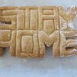 IMG_6473.JPG STAY HOME COOKIE CUTTER