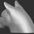 6.jpg Cougar / Mountain Lion head for 3D printing