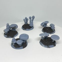 IMG_5605.jpg 3D file Base Bits Mushroom・3D printer model to download