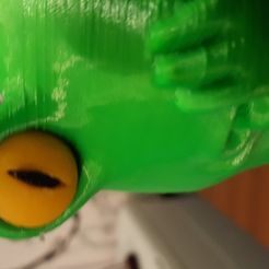20170617_200225.jpg Des yeux pour une grenouille qui s'ennuie