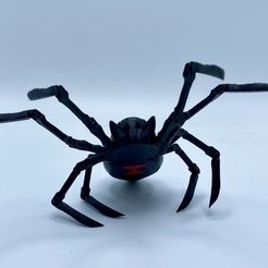 Frontstanding.jpg Black Widow Spider (MMU Multi Material)