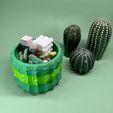 05.jpeg Stackable bowl “cactus”