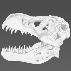 D59589C5-FAC5-4f46-BF61-B6F97C3CCA3D.png Fichier 3D gratuit Crâne de dinosaure（scanné par Revopoint MINI）・Objet à télécharger et à imprimer en 3D