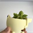 IMG_4303-conv.jpeg Set of 4 Minimalist Pokemon Planters / Pikachu / Bulbasaur / Charmander/ Squirtle