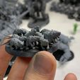 IMG_1569.jpg Free STL file Ravenous Rodent Swarms・Object to download and to 3D print