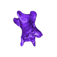 Cervical_Vertebra_06.stl STL file Pteranodon skeleton・3D printer model to download