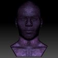 27.jpg Nelly bust for 3D printing