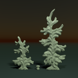 two_firtree-01.png Two fir trees