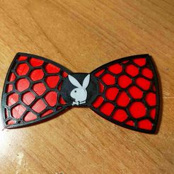 IMG20211115184630.jpg bow tie,Papillon Voronoi PLAY BOY