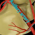 ps4.jpg Upper limb arteries axilla arm forearm 3D model