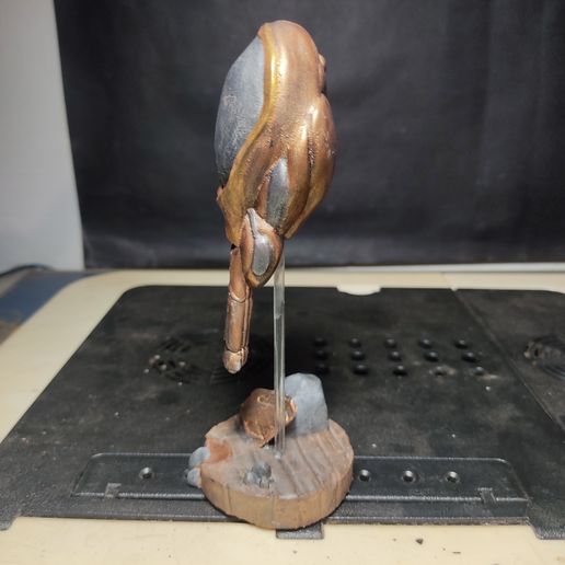 IMG_20221127_231744.jpg Kelex de MOS