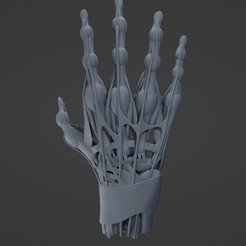 h1.png Download STL file Hand muscle • 3D print model, littleblueloucreations
