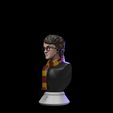 harrych-8.jpg Harry Potter