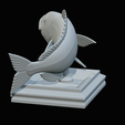 Dentex-trophy-47.png fish Common dentex / dentex dentex trophy statue detailed texture for 3d printing