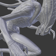 Captura-de-pantalla-673.png Xenomorph warrior 1 Aliens