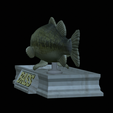 Bass-statue-17.png fish Largemouth Bass / Micropterus salmoides statue detailed texture for 3d printing