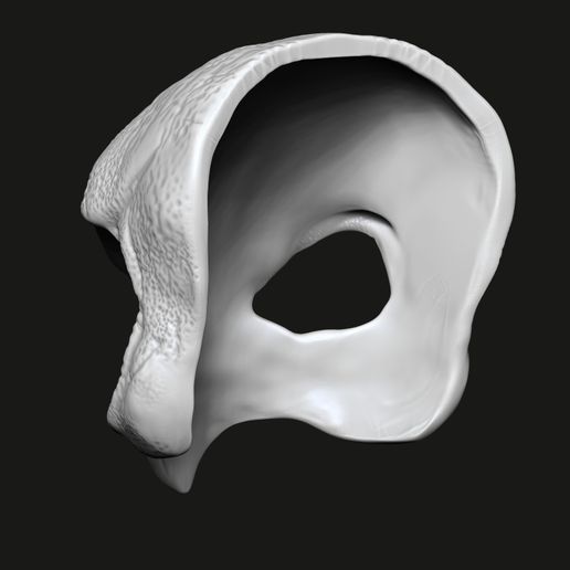 4.jpg Strigiformes mask