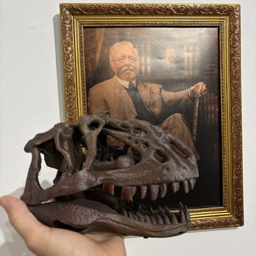 Yangchuanosaurus - Dinosaur skull 3D model