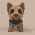 YT01.png Cute Puppy Yorkshire Terrier STL and VRML
