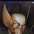 2-2.jpg Wolverine skull bust
