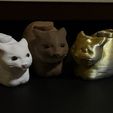 IMG_4625.jpg Oiia Oiia Cat meme spinner