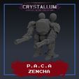 Zencha-cults-aa.jpg Pan Asian Corporate Alliance Zencha