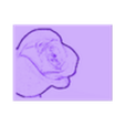 lithopane_new_20170531-11618-1s72s40-0.stl rose_new2