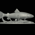 pstruh-klacky-1-15.png rainbow trout 2.0 underwater statue detailed texture for 3d printing