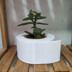 TPBackground1.jpg Fichier 3D Papier toilette Ikea Cactus Pot・Modèle à imprimer en 3D à télécharger