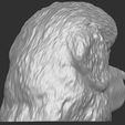 8.jpg Tibetan Mastiff dog head for 3D printing