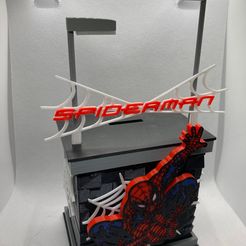 IMG_0829.jpg Piggy Bank Spider man