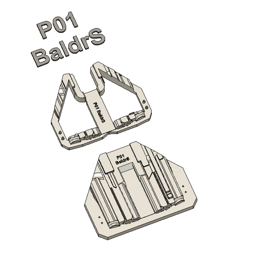 CZ P-01 - Olight Baldr S Split Mold
