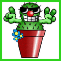 cactuszebest