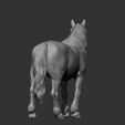 Percheron14.jpg Caballo percherón Modelo de impresión 3D