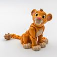 2.jpg Flexi Simba