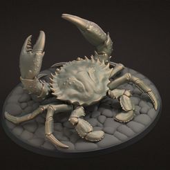 dd.475.jpg Brave Crab