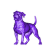 bull terrier.stl Модель бультерьера