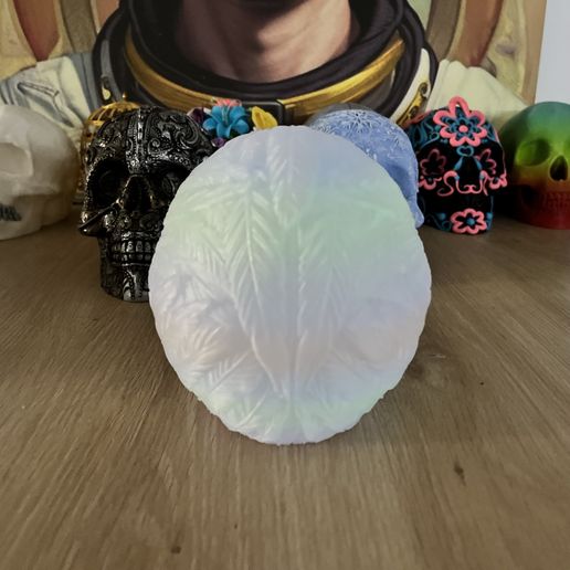 IMG_9390.jpeg Feather Skull