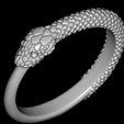 BPR_Render4.jpg Uroboros Snake Ring