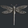 dragonfly.jpg Dragonfly