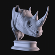 04.png Rhinoceros