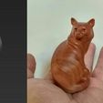 cat-figure-3d-model-stl.jpg 3Dmodel STL Statuette Sitting Cat