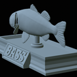 Bass-mount-statue-34.png fish Largemouth Bass / Micropterus salmoides open mouth statue detailed texture for 3d printing