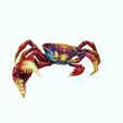 I.jpg Crab - DOWNLOAD Crab 3d Model - animated for Blender-Fbx-Unity-Maya-Unreal-C4d-3ds Max - 3D Printing Crab Crab Crab - POKÉMON - DINOSAUR