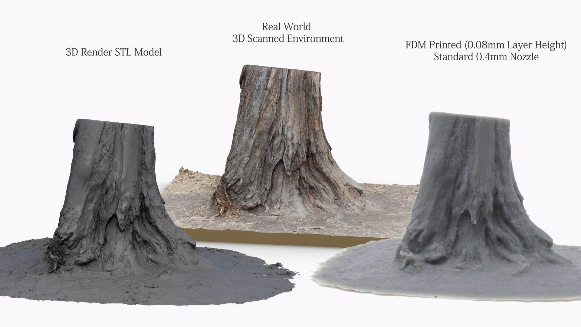 Free STL file 3D Scanned Tree Stump for Tabletop Scatter Terrain・3D