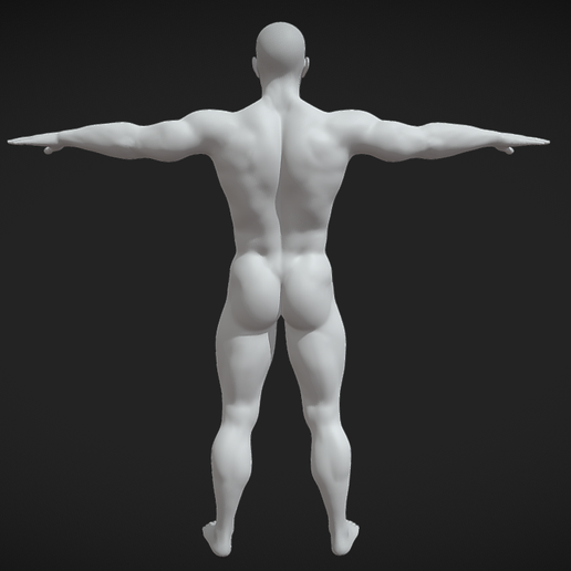 3.png Base du corps de l'homme T-Pose